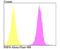 PHD Finger Protein 8 antibody, NBP2-76957, Novus Biologicals, Flow Cytometry image 