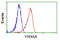 Von Willebrand Factor A Domain Containing 5A antibody, GTX83424, GeneTex, Flow Cytometry image 