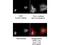 Ring Finger Protein 2 antibody, GTX48486, GeneTex, Immunofluorescence image 