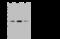 CD79b Molecule antibody, 202460-T36, Sino Biological, Western Blot image 
