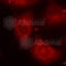 LIM domain kinase 2 antibody, AP0388, ABclonal Technology, Immunofluorescence image 