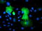 Synaptosome Associated Protein 25 antibody, TA502964, Origene, Immunofluorescence image 