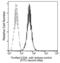Carbonic Anhydrase 9 antibody, 10107-R053, Sino Biological, Flow Cytometry image 