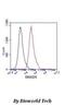 SMAD Family Member 5 antibody, M01423-1, Boster Biological Technology, Flow Cytometry image 