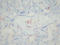 Integrin Subunit Alpha 2b antibody, AM26055PU-N, Origene, Immunohistochemistry frozen image 
