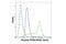 Replication Protein A2 antibody, 54762S, Cell Signaling Technology, Flow Cytometry image 