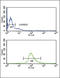 Dopachrome Tautomerase antibody, LS-C167302, Lifespan Biosciences, Flow Cytometry image 