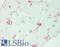 Mannan Binding Lectin Serine Peptidase 2 antibody, LS-B13625, Lifespan Biosciences, Immunohistochemistry paraffin image 