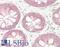 BRISC complex subunit Abro1 antibody, LS-B14023, Lifespan Biosciences, Immunohistochemistry paraffin image 