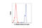 Histone H3 antibody, 9751S, Cell Signaling Technology, Flow Cytometry image 