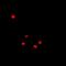 Epoxide Hydrolase 2 antibody, orb340791, Biorbyt, Immunofluorescence image 