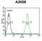 FKBP Prolyl Isomerase 10 antibody, abx033365, Abbexa, Flow Cytometry image 