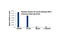 Histone H3 antibody, 9675T, Cell Signaling Technology, Chromatin Immunoprecipitation image 