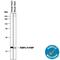 Fatty Acid Binding Protein 3 antibody, AF1678, R&D Systems, Western Blot image 