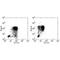 Interleukin 1 Beta antibody, TA320366, Origene, Flow Cytometry image 