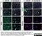 Macrophages antibody, NB100-64946, Novus Biologicals, Immunofluorescence image 