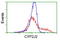 Cytochrome P450 Family 2 Subfamily J Member 2 antibody, TA503484, Origene, Flow Cytometry image 