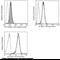 MHC Class I Polypeptide-Related Sequence B antibody, 10759-MM12-F, Sino Biological, Flow Cytometry image 