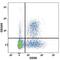 CD160 Molecule antibody, FAB6700A, R&D Systems, Flow Cytometry image 