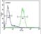 Serpin Family H Member 1 antibody, PA5-14254, Invitrogen Antibodies, Flow Cytometry image 