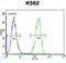 Cleavage And Polyadenylation Specific Factor 7 antibody, abx026619, Abbexa, Flow Cytometry image 