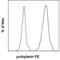 Podoplanin antibody, 12-5381-80, Invitrogen Antibodies, Flow Cytometry image 