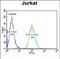 Aminolevulinate Dehydratase antibody, PA5-49592, Invitrogen Antibodies, Flow Cytometry image 