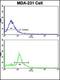 Serine/Threonine Kinase 24 antibody, orb304611, Biorbyt, Flow Cytometry image 