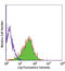 Thy-1 Cell Surface Antigen antibody, LS-B3139, Lifespan Biosciences, Flow Cytometry image 