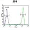 Alpha And Gamma Adaptin Binding Protein antibody, abx032537, Abbexa, Western Blot image 