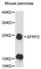 Secreted frizzled-related protein 2 antibody, LS-C748025, Lifespan Biosciences, Western Blot image 