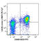 C-X-C Motif Chemokine Receptor 5 antibody, 145515, BioLegend, Flow Cytometry image 