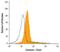 Interleukin 2 Receptor Subunit Gamma antibody, MA5-24290, Invitrogen Antibodies, Flow Cytometry image 