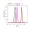 Heat Shock Protein Family B (Small) Member 1 antibody, 44-534G, Invitrogen Antibodies, Flow Cytometry image 