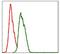 NEDD8 Ubiquitin Like Modifier antibody, GTX60545, GeneTex, Flow Cytometry image 