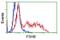 Follicle Stimulating Hormone Subunit Beta antibody, GTX84474, GeneTex, Flow Cytometry image 