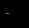 Interleukin 12A antibody, GTX02379, GeneTex, Western Blot image 