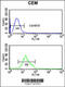 Trichoplein Keratin Filament Binding antibody, 63-907, ProSci, Flow Cytometry image 