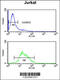 Zinc Finger And BTB Domain Containing 2 antibody, 62-443, ProSci, Flow Cytometry image 