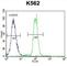 Kruppel Like Factor 4 antibody, abx026527, Abbexa, Western Blot image 