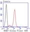 RAB7A, Member RAS Oncogene Family antibody, NBP2-67732, Novus Biologicals, Flow Cytometry image 