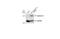Syndecan Binding Protein antibody, NBP1-31136, Novus Biologicals, Western Blot image 