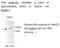 Carboxyl Ester Lipase antibody, MBS416034, MyBioSource, Western Blot image 