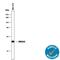High Mobility Group AT-Hook 2 antibody, AF3184, R&D Systems, Western Blot image 