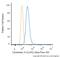 Keratin 14 antibody, NBP2-34675AF488, Novus Biologicals, Flow Cytometry image 