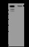 Ribosome biogenesis protein BOP1 antibody, 205447-T38, Sino Biological, Western Blot image 