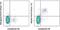 Natural Cytotoxicity Triggering Receptor 1 antibody, 46-3351-80, Invitrogen Antibodies, Flow Cytometry image 