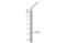 Methylenetetrahydrofolate Dehydrogenase (NADP+ Dependent) 2, Methenyltetrahydrofolate Cyclohydrolase antibody, NBP2-19429, Novus Biologicals, Western Blot image 