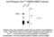 Glutamate Ionotropic Receptor NMDA Type Subunit 2C antibody, 50-114, ProSci, Western Blot image 