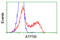 ATP Synthase F1 Subunit Beta antibody, LS-C114907, Lifespan Biosciences, Flow Cytometry image 